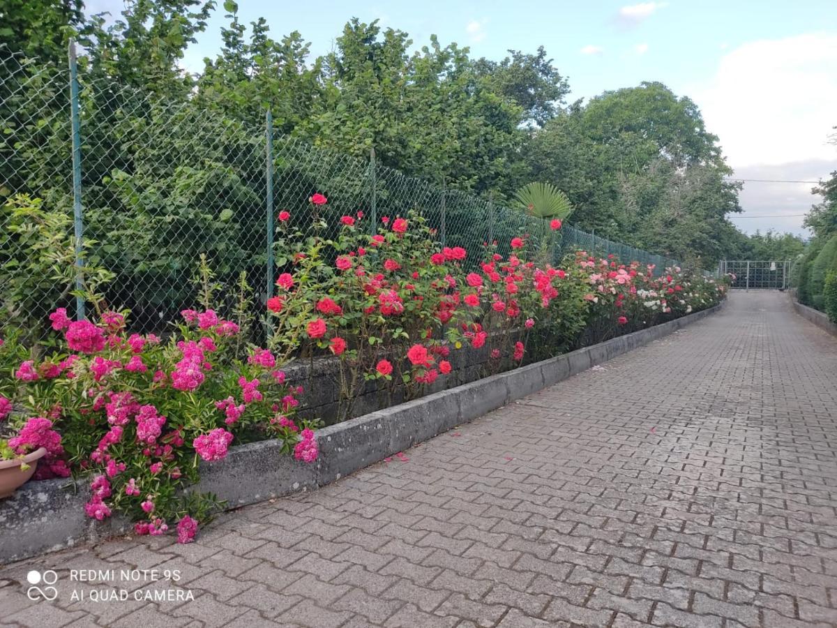 B&B Santa Maria Forino Екстер'єр фото